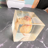 Resin Round keychain set with Cube Single rose Preservation with Flower Preservation